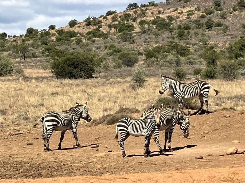 Baviaanskloof